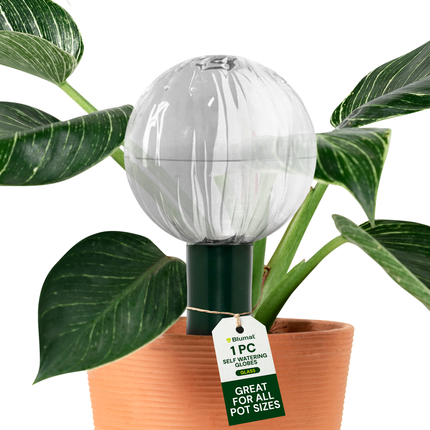 Blumat Glass Plant Self Watering Globes