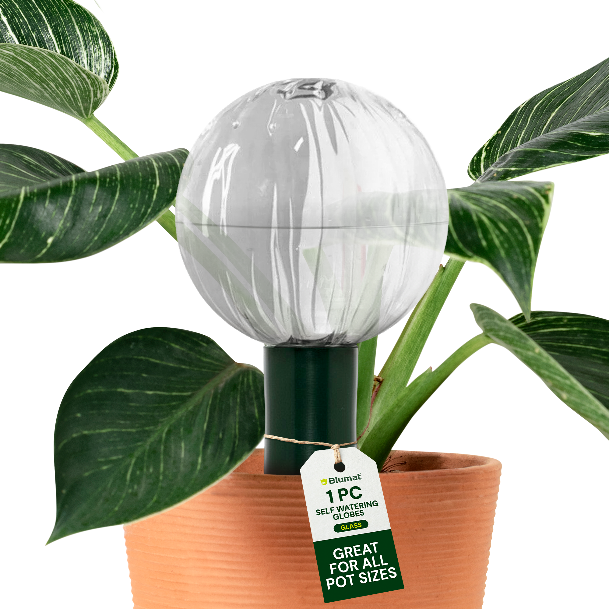 blumat glass plant self watering globes Blumat Glass Plant Self Watering Globes