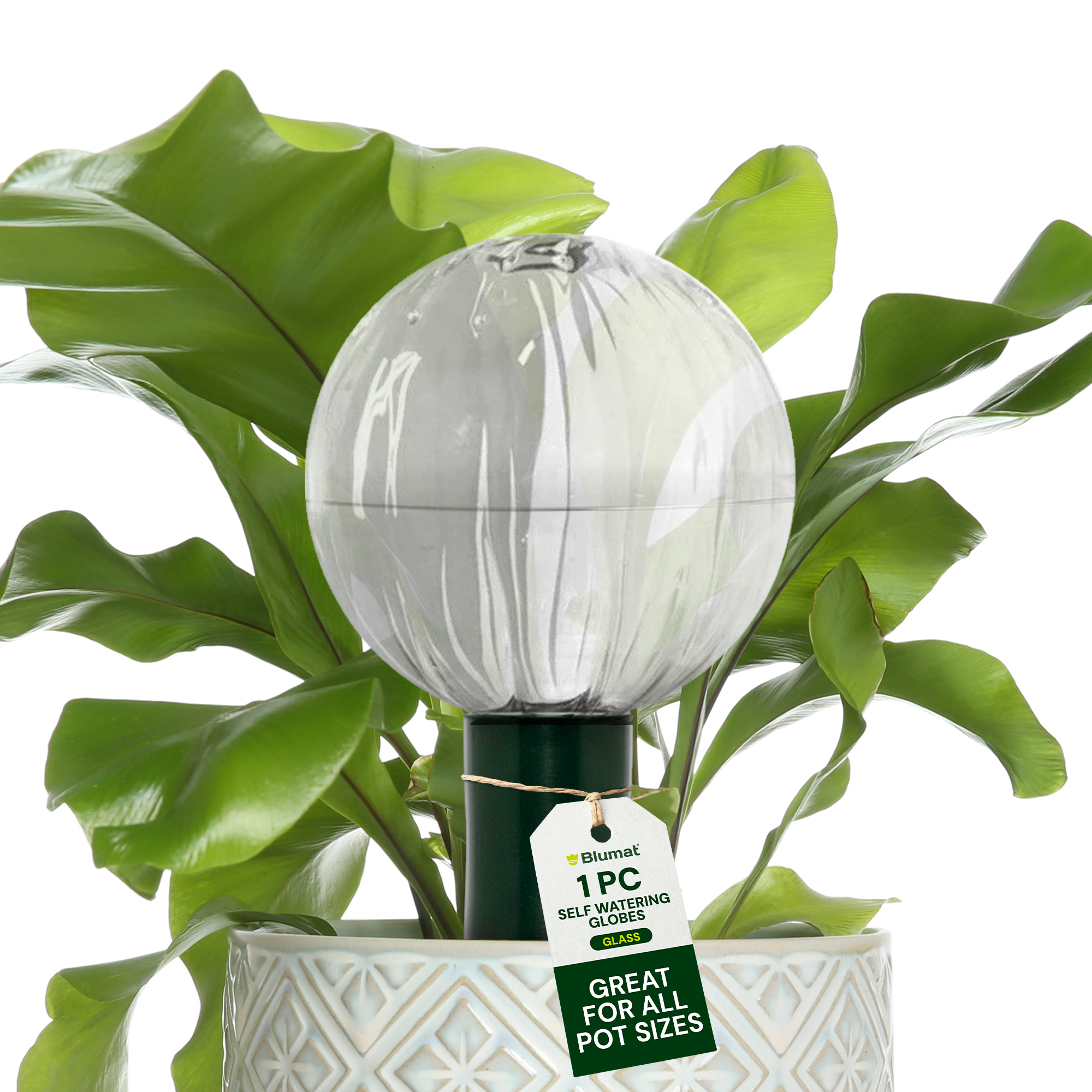 self watering plant bulbs Blumat Glass Plant Self Watering Globes