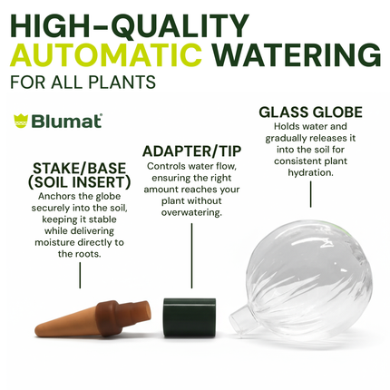 Blumat Glass Plant Self Watering Globes