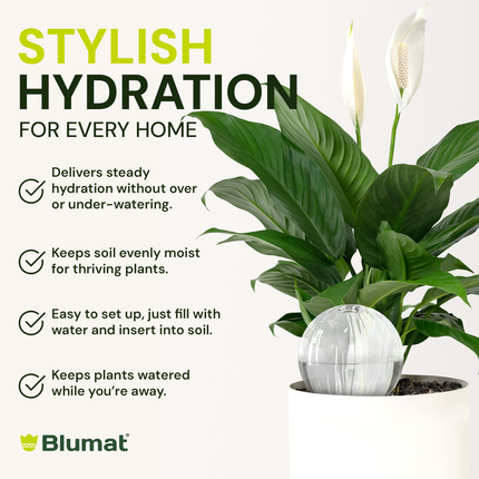 Blumat Glass Globe Large Replacement