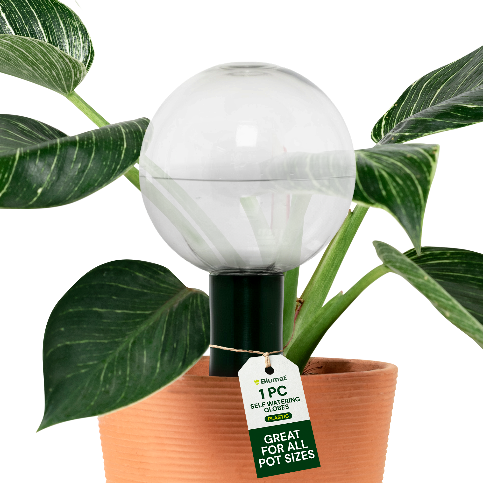 plastic watering bulbs for plants Blumat Clear Globe Sets — Self-Watering Spikes for Houseplants