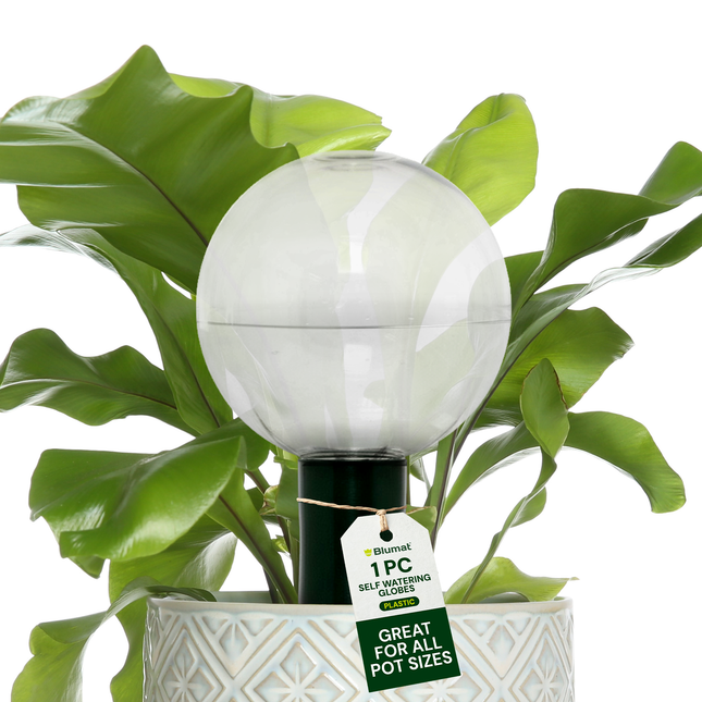 Blumat Clear Globe Sets