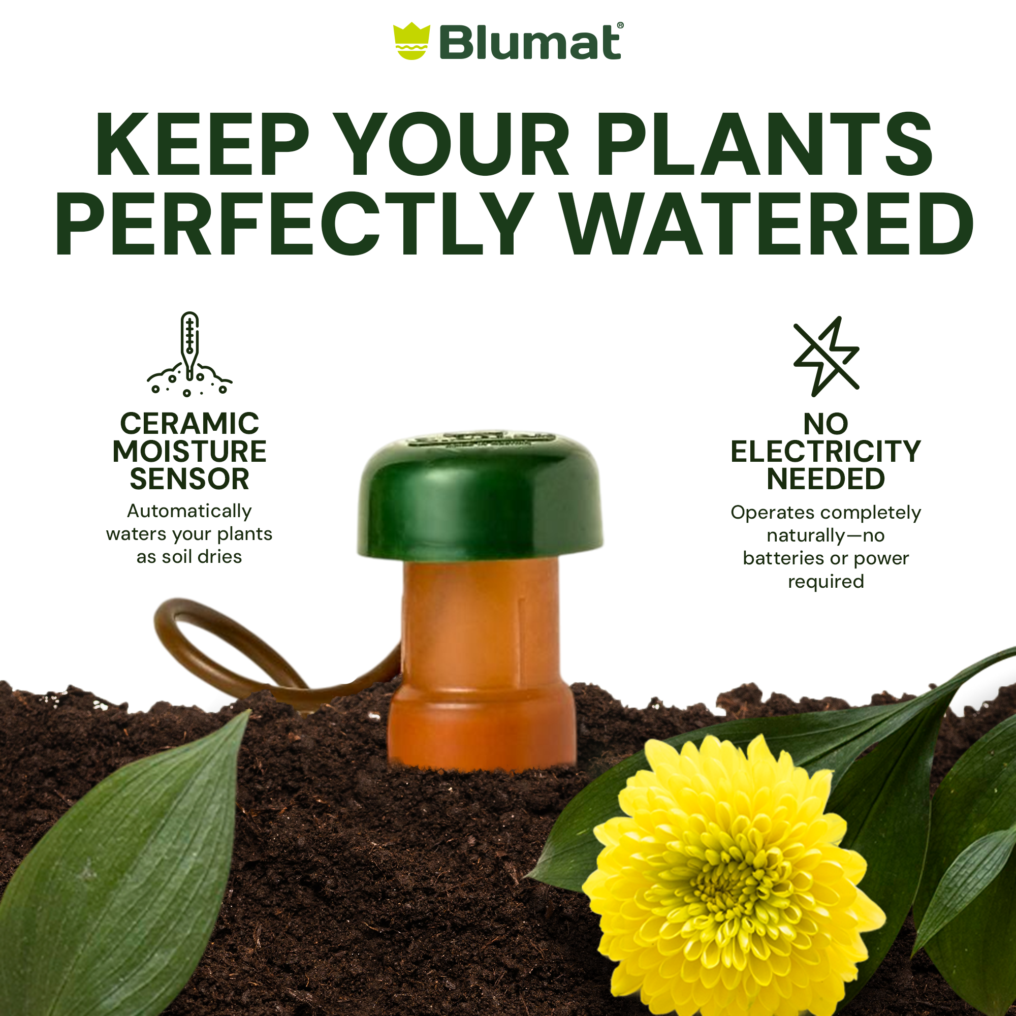 blumat classic jr automatic plant watering stakes Blumat XL Classic Plant Watering Stakes — For Larger Plants & Pots