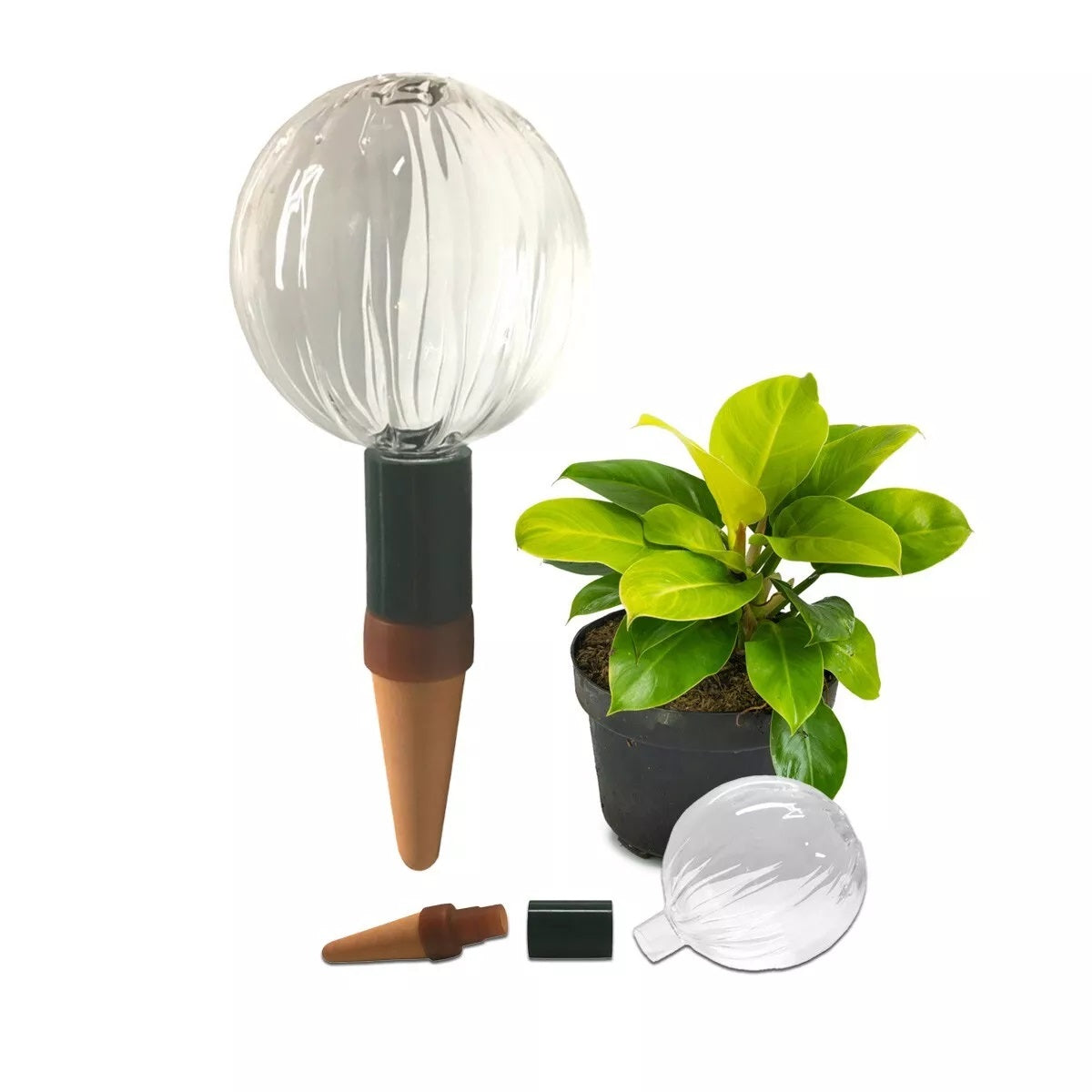 Blumat Glass Plant Self Watering Globes