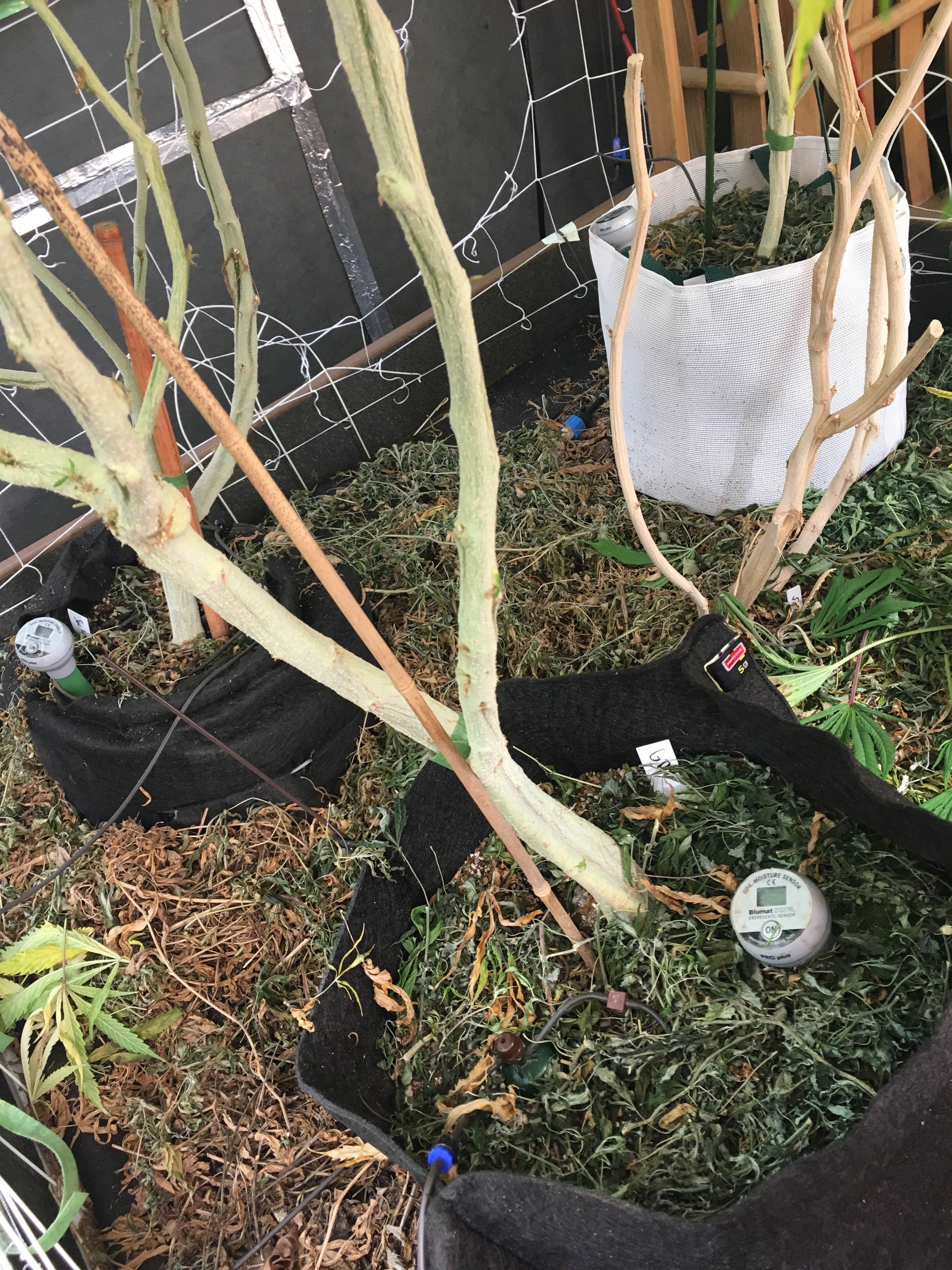 Gravity Irrigation Kit Deluxe