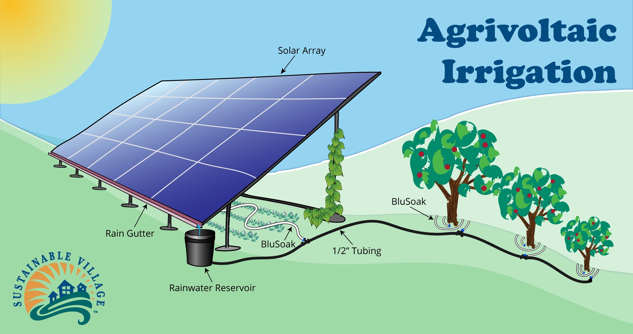 solar powered automatic plant watering system Complete 32' Gravity Watering Kit for Agrivoltaics