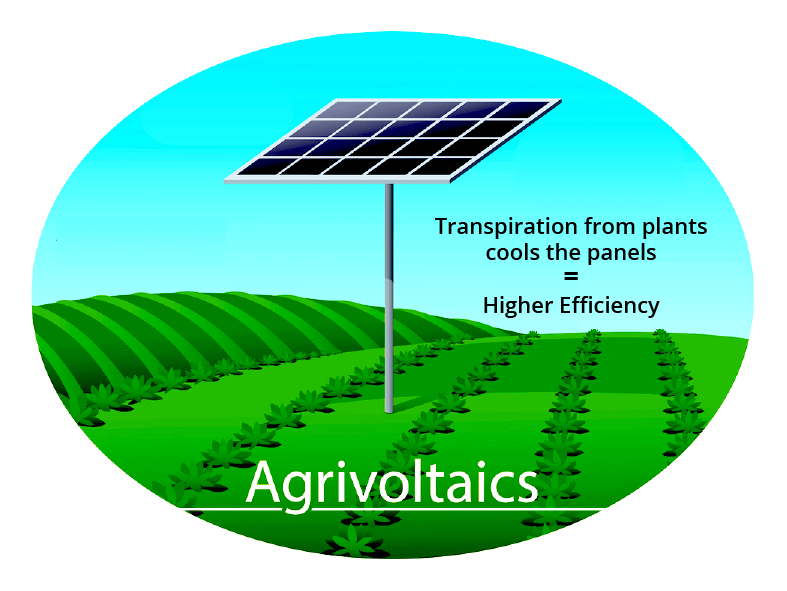 Complete 32' Gravity Watering Kit for Agrivoltaics