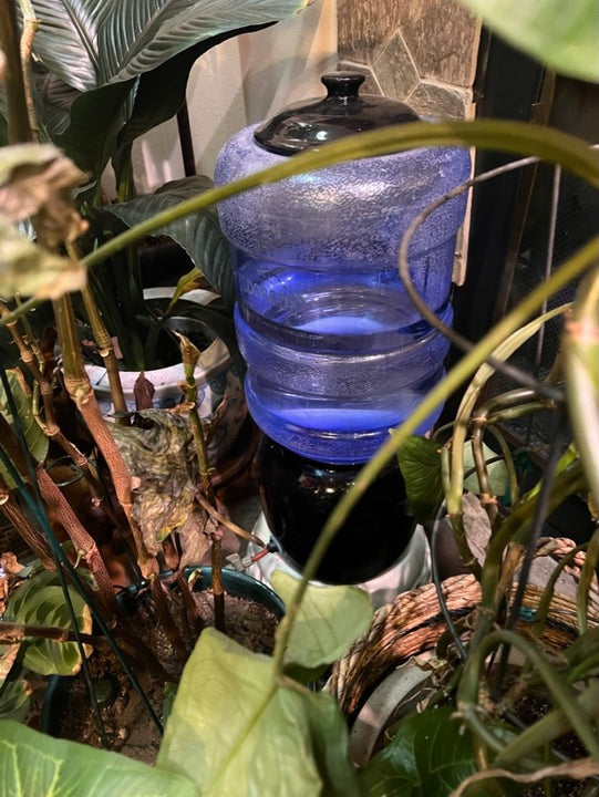 self watering kit for plants 2-month Vacation Watering Kit – Sustainable Village