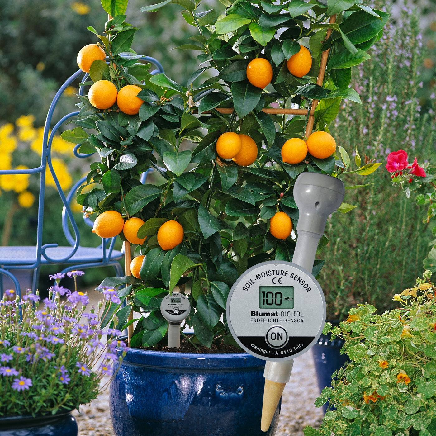 Blumat Digital Moisture Meter Kits