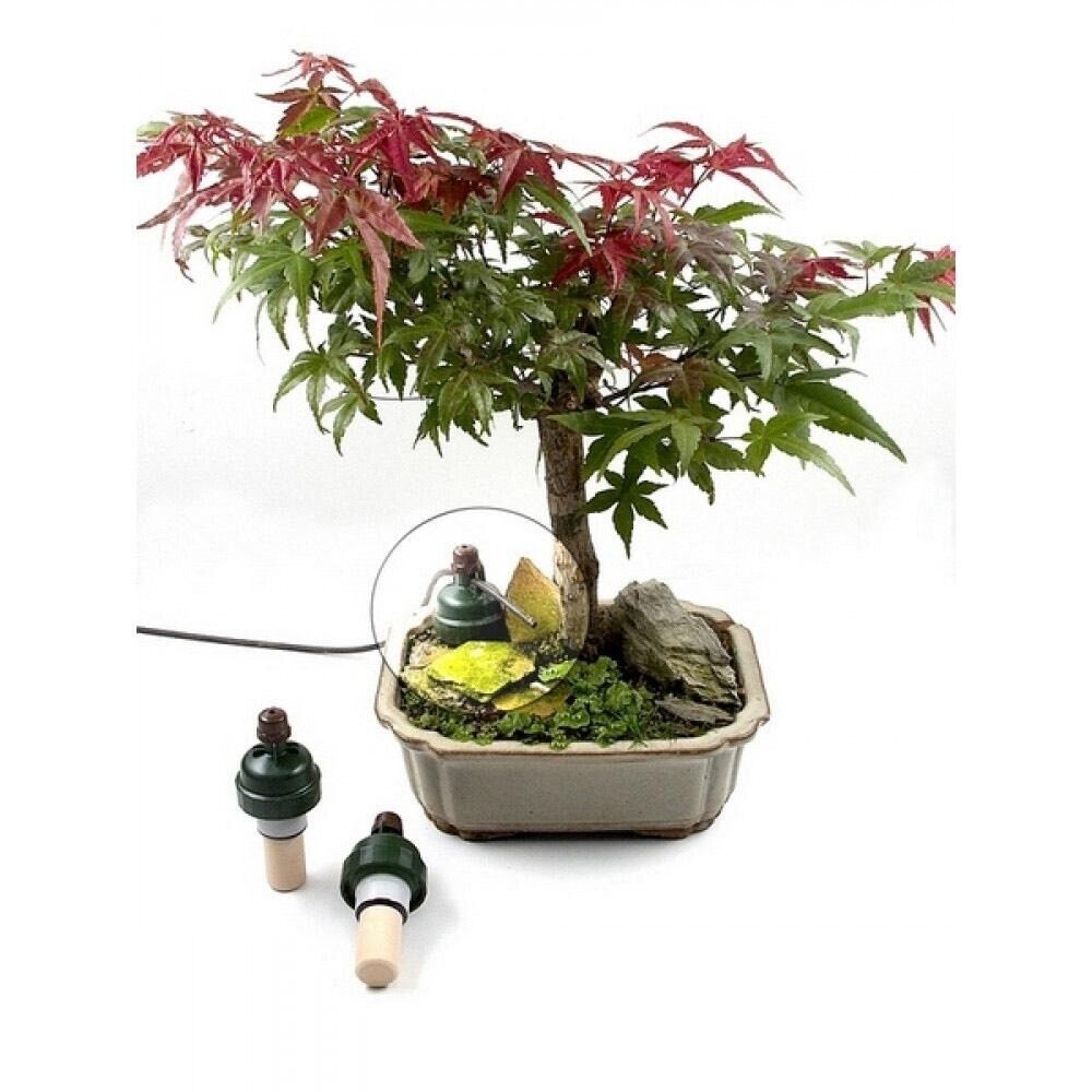 bonsai tree self watering pot Blumat Bonsai Automatic Plant Watering Sensor