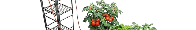 Gravity-fed Blumat irrigation system with elevated reservoir watering container plants