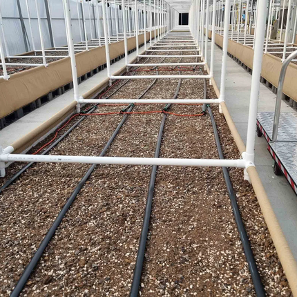 High-Pressure BluSoak black tape in a raised bed