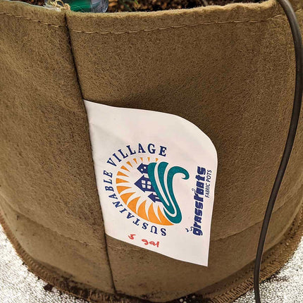 5 Gallon Grassroots Living Soil Pot