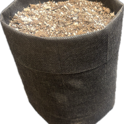 25-Pack Biodegradable Nursery Bags