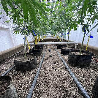 Blusoak 3.0 High Pressure Kits