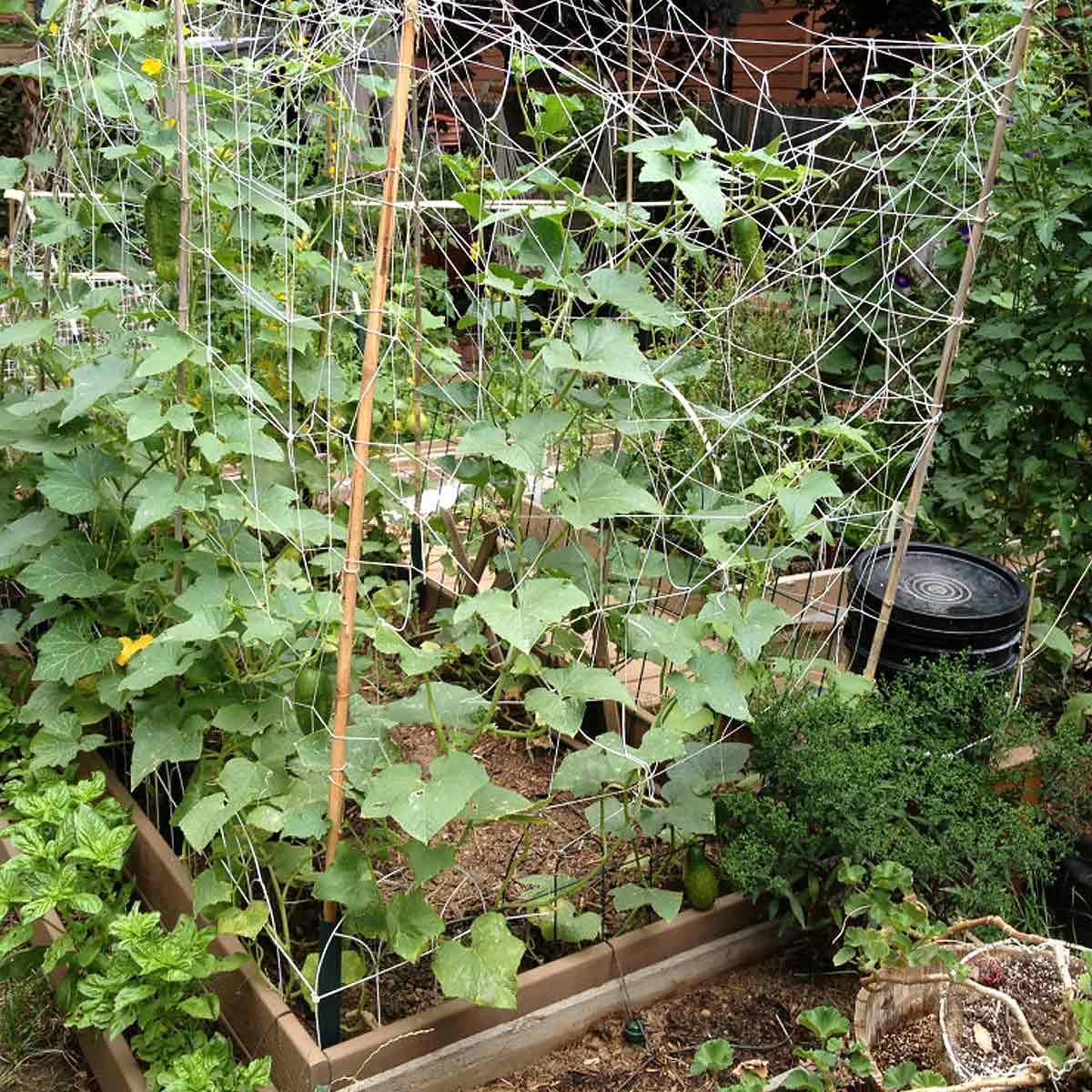 Blumat Gravity Garden Kit for 4' x 8' Raised Bed for 8 Large Plants-7