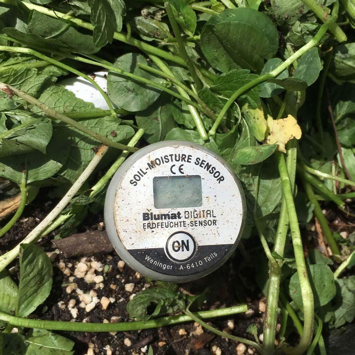 Blumat Digital Moisture Meter - Top Replacement Only