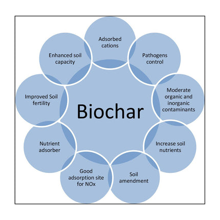 Biochar Supersnacks for Houseplants-2